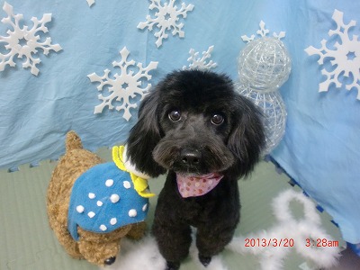 ファイル 6618-1.jpg