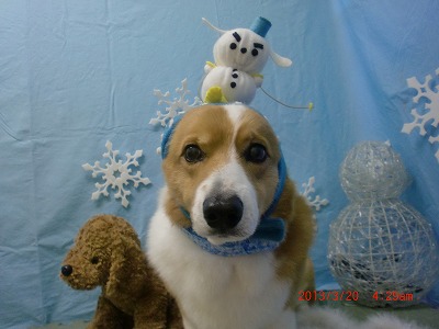 ファイル 6619-1.jpg