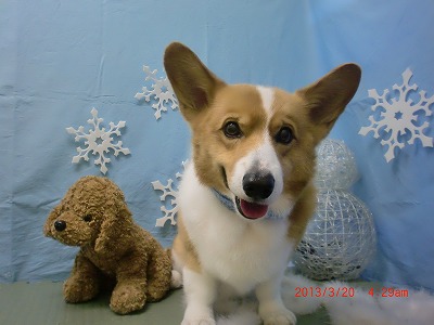 ファイル 6619-2.jpg