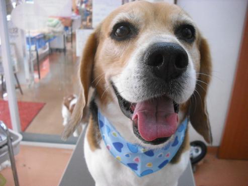 ファイル 662-1.jpg