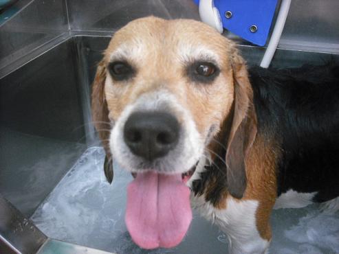 ファイル 662-2.jpg