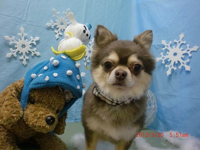 ファイル 6620-2.jpg