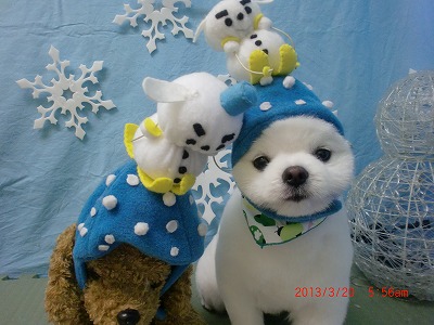 ファイル 6623-1.jpg