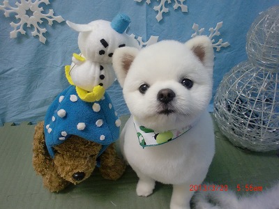 ファイル 6623-2.jpg