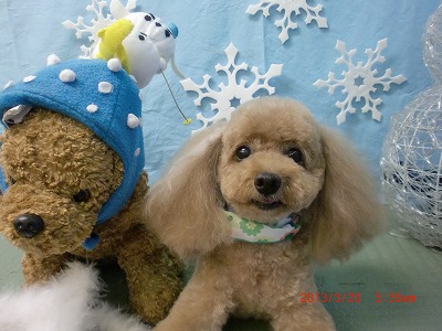 ファイル 6625-1.jpg