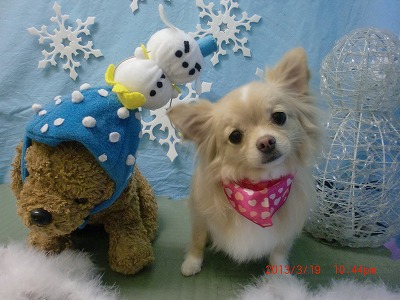 ファイル 6627-1.jpg