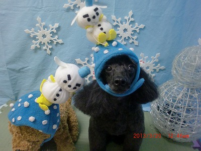 ファイル 6628-1.jpg