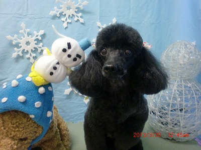 ファイル 6628-2.jpg