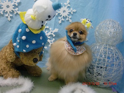 ファイル 6629-1.jpg