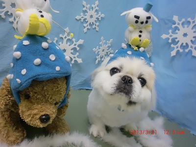 ファイル 6630-1.jpg