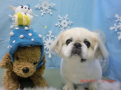 ファイル 6630-2.jpg