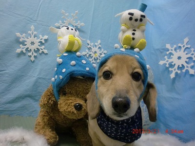 ファイル 6631-1.jpg