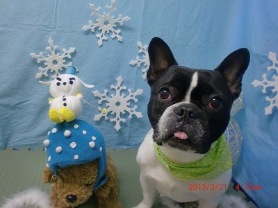 ファイル 6632-2.jpg