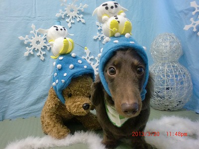 ファイル 6633-1.jpg