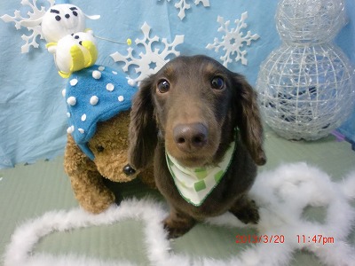 ファイル 6633-2.jpg