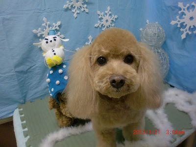 ファイル 6634-2.jpg