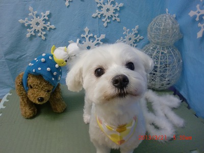 ファイル 6635-1.jpg