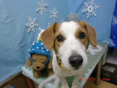 ファイル 6636-1.jpg