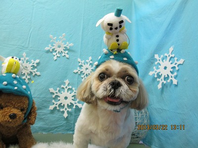 ファイル 6638-1.jpg