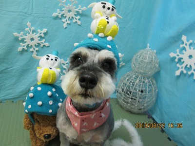 ファイル 6639-1.jpg