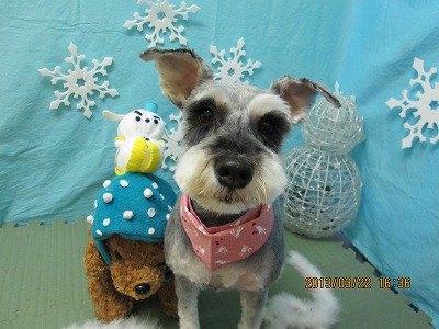 ファイル 6639-2.jpg