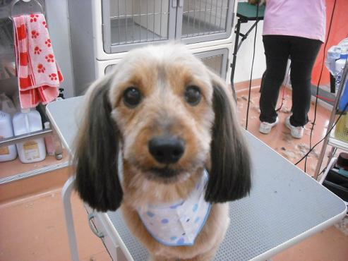 ファイル 664-1.jpg