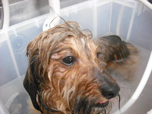 ファイル 664-2.jpg