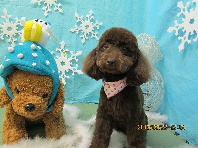 ファイル 6640-1.jpg