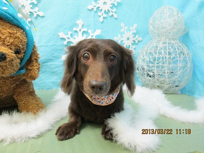 ファイル 6641-1.jpg