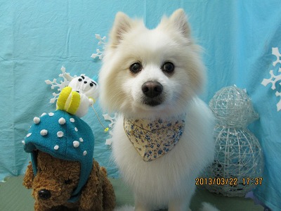 ファイル 6643-1.jpg