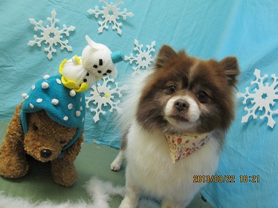 ファイル 6644-1.jpg