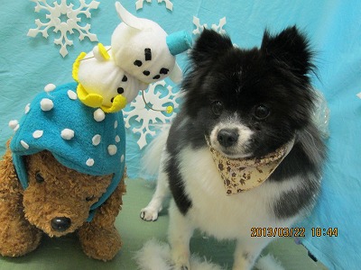 ファイル 6645-1.jpg