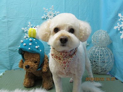 ファイル 6647-1.jpg