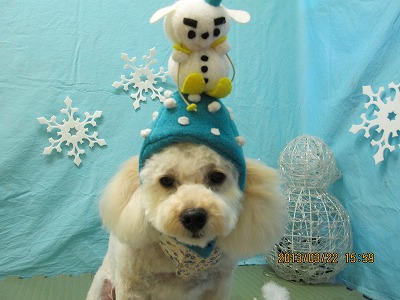 ファイル 6648-1.jpg