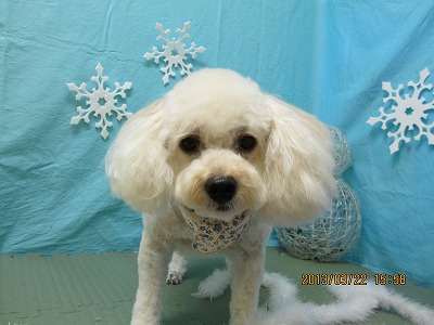 ファイル 6648-2.jpg