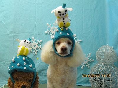 ファイル 6649-1.jpg