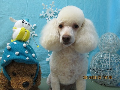 ファイル 6649-2.jpg