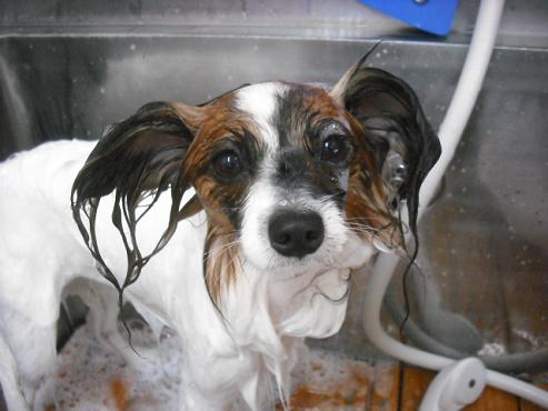 ファイル 665-2.jpg