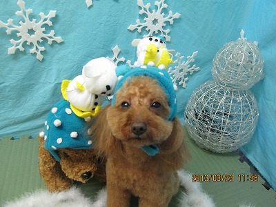 ファイル 6650-1.jpg