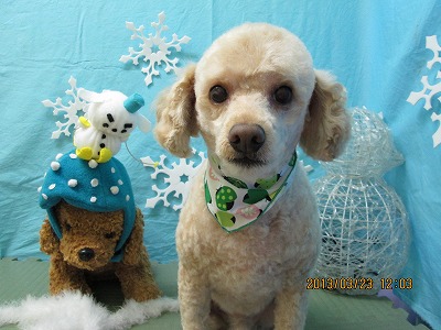 ファイル 6652-1.jpg