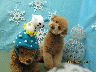 ファイル 6653-2.jpg