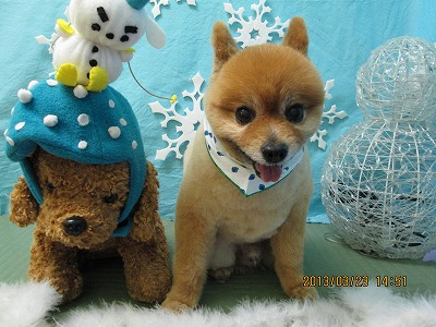 ファイル 6654-2.jpg