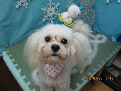 ファイル 6655-1.jpg