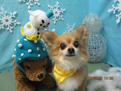 ファイル 6657-1.jpg