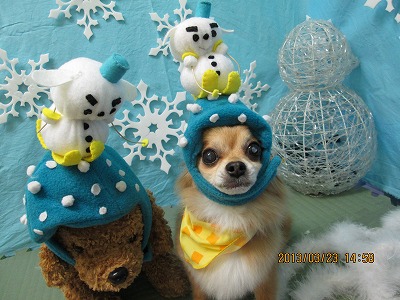 ファイル 6657-2.jpg