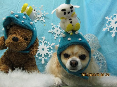 ファイル 6659-1.jpg