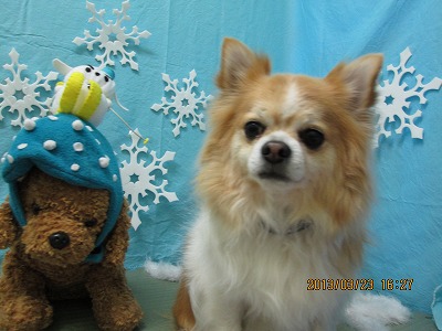 ファイル 6659-2.jpg