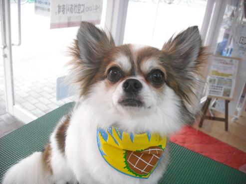 ファイル 666-1.jpg