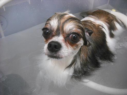 ファイル 666-2.jpg