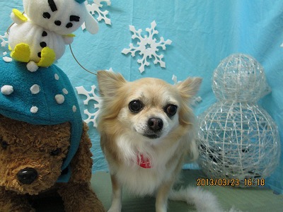 ファイル 6660-2.jpg